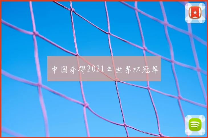 中国夺得2021年世界杯冠军