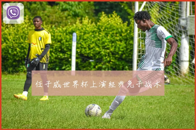 任子威世界杯上演经典兔子战术