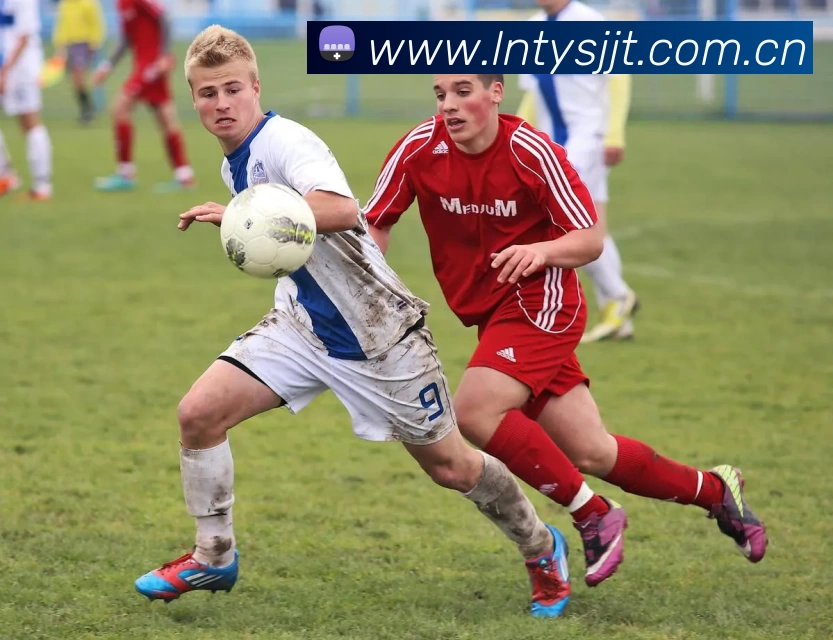 leyu乐鱼官方APP 封面图